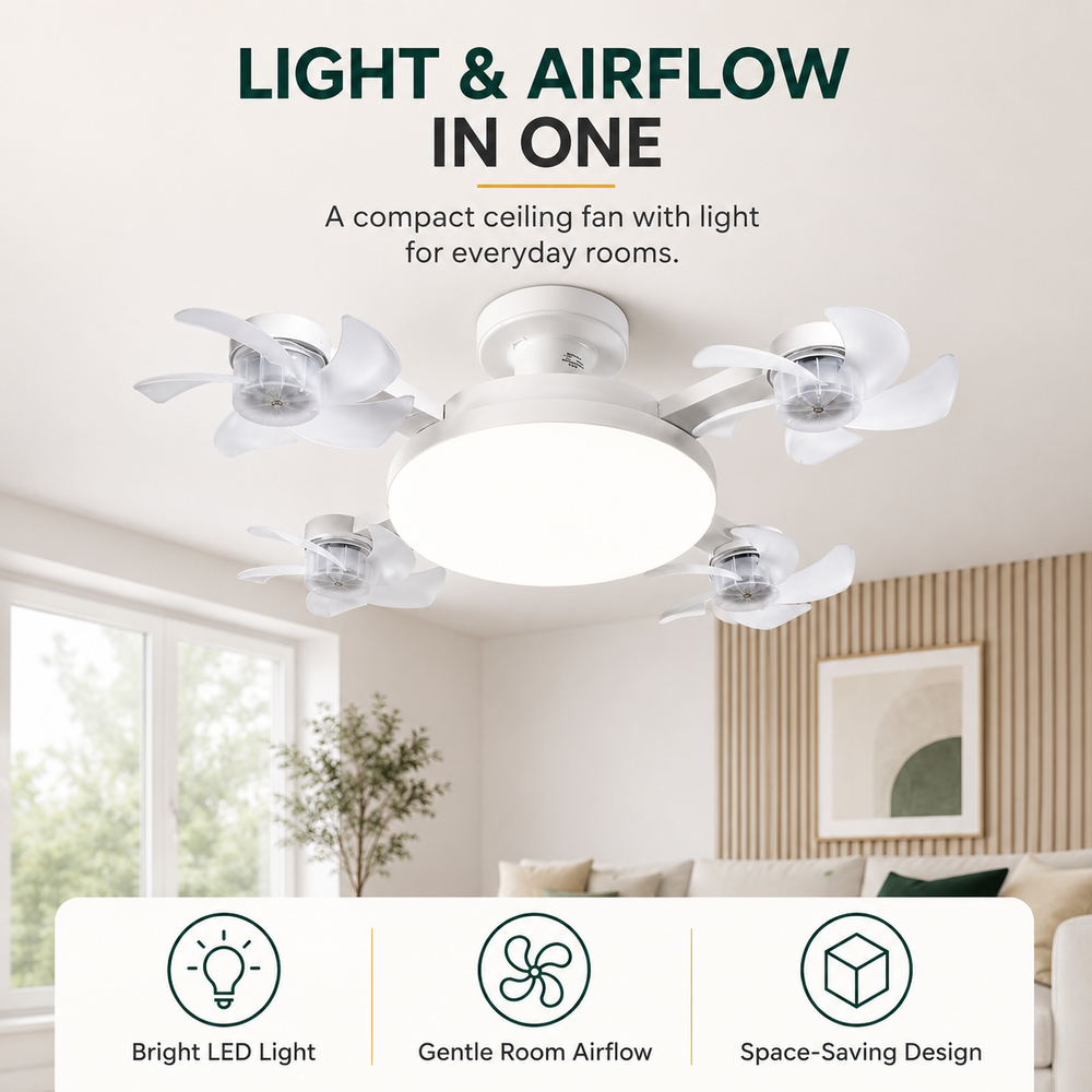 Ceiling Fan with Lighting