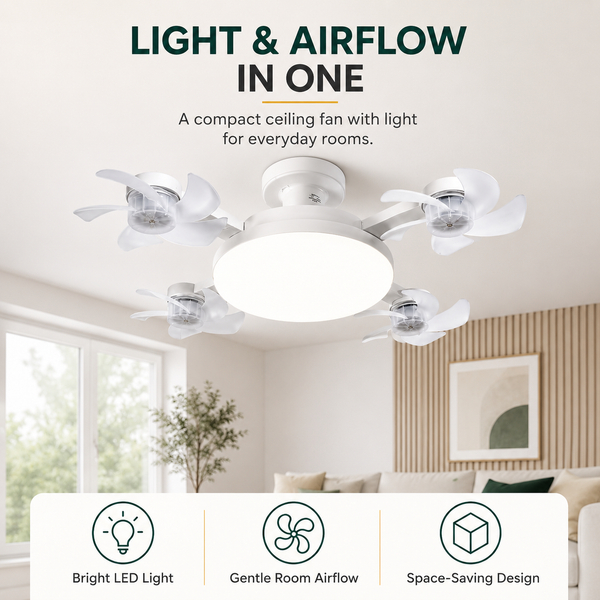 Ceiling Fan with Lighting